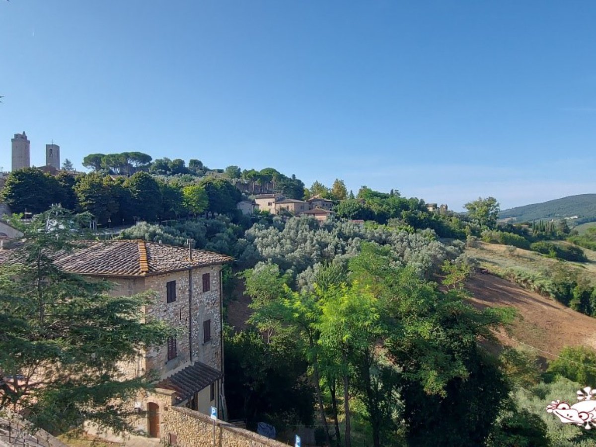 Apartament/Flats for Sale San Gimignano Siena, Sale Apartament/Flats San Gimignano