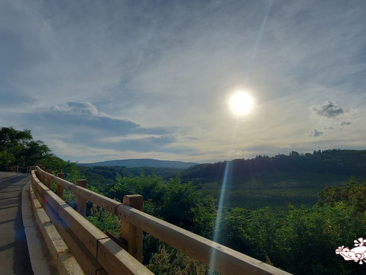 Workroom for Sale San Gimignano Siena, Sale Workroom San Gimignano