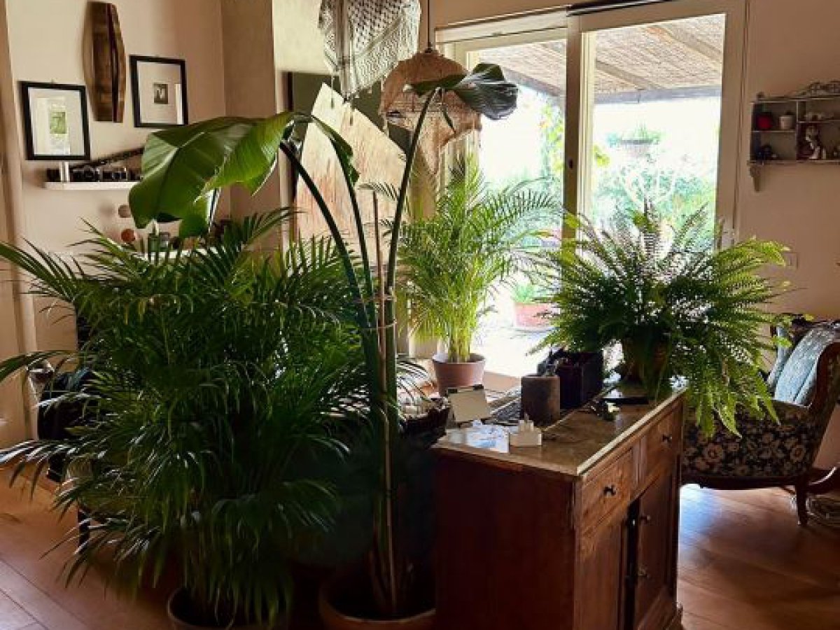 Villa for Sale San Gimignano Siena, Sale Villa San Gimignano