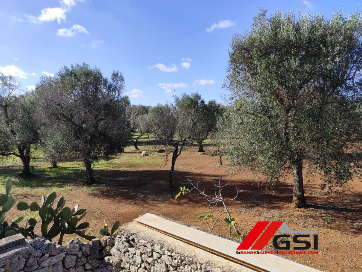 Cottage/Hamlet for Sale Ceglie Messapica Brindisi, Sale Cottage/Hamlet Ceglie Messapica
