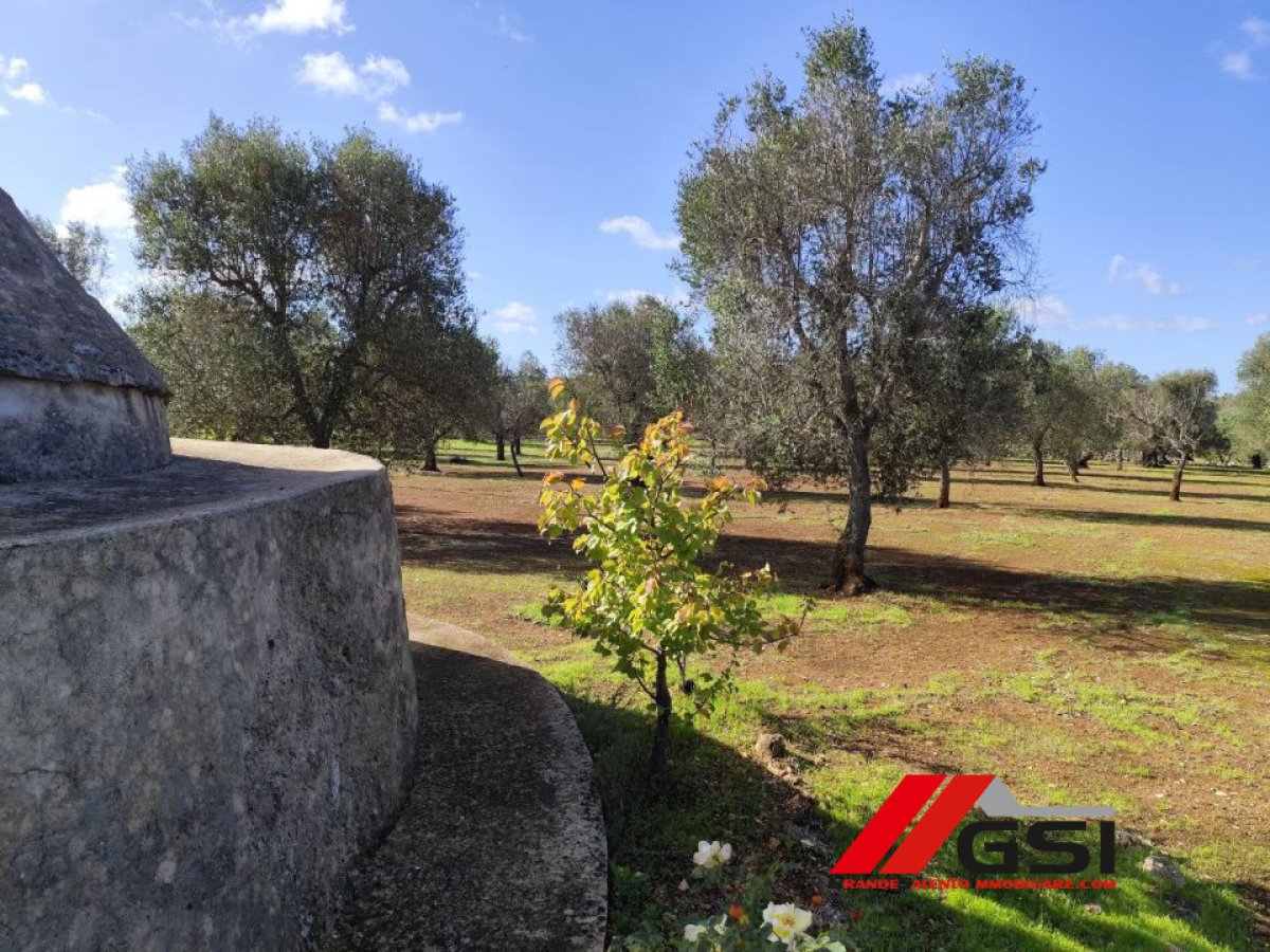 Cottage/Hamlet for Sale Ceglie Messapica Brindisi, Sale Cottage/Hamlet Ceglie Messapica