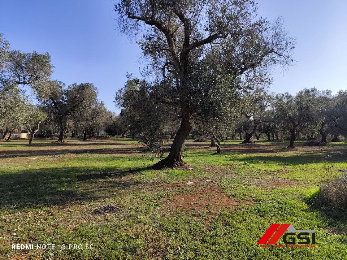 Cottage/Hamlet for Sale Latiano Brindisi, Sale Cottage/Hamlet Latiano