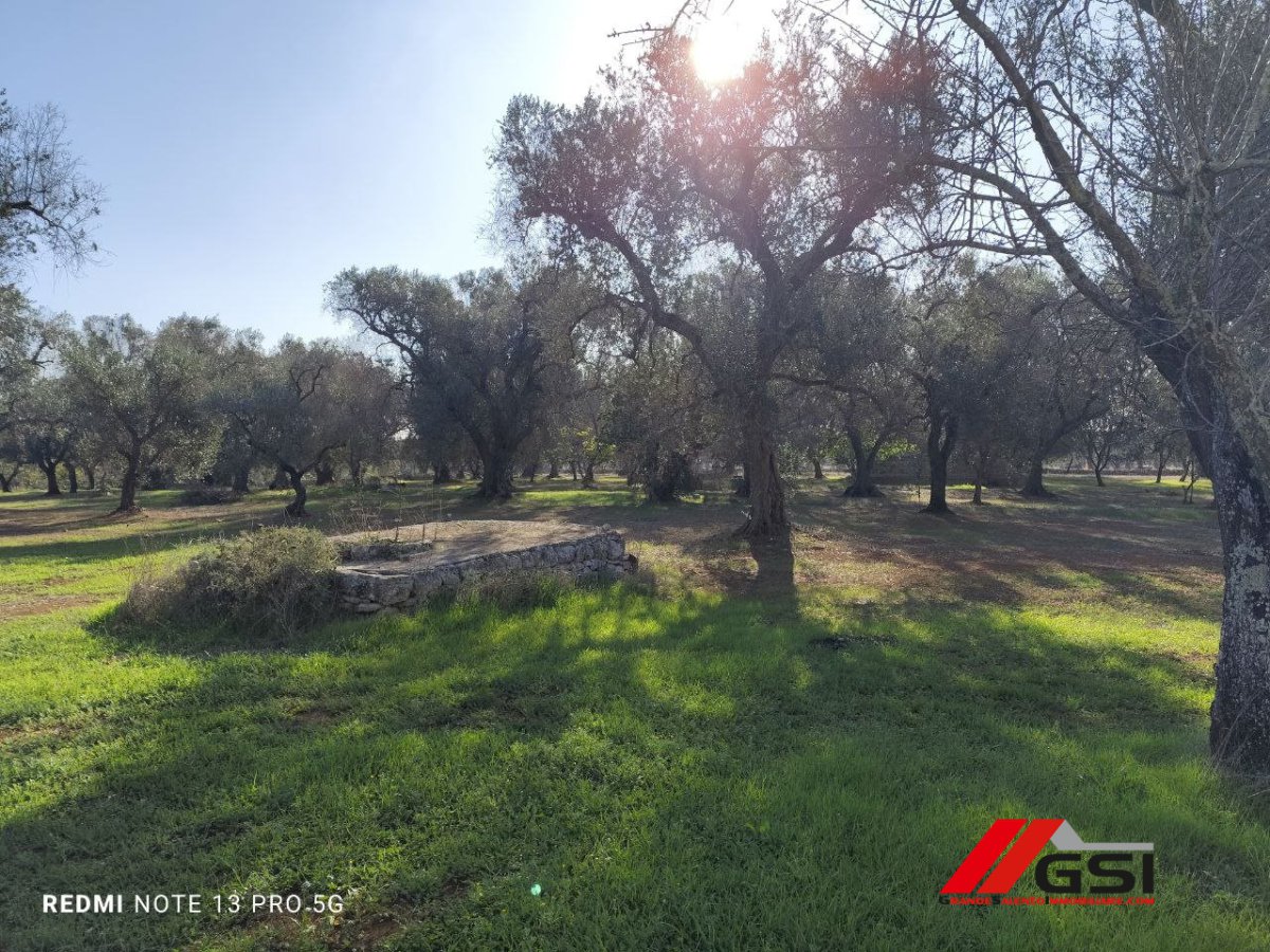 Cottage/Hamlet for Sale Latiano Brindisi, Sale Cottage/Hamlet Latiano