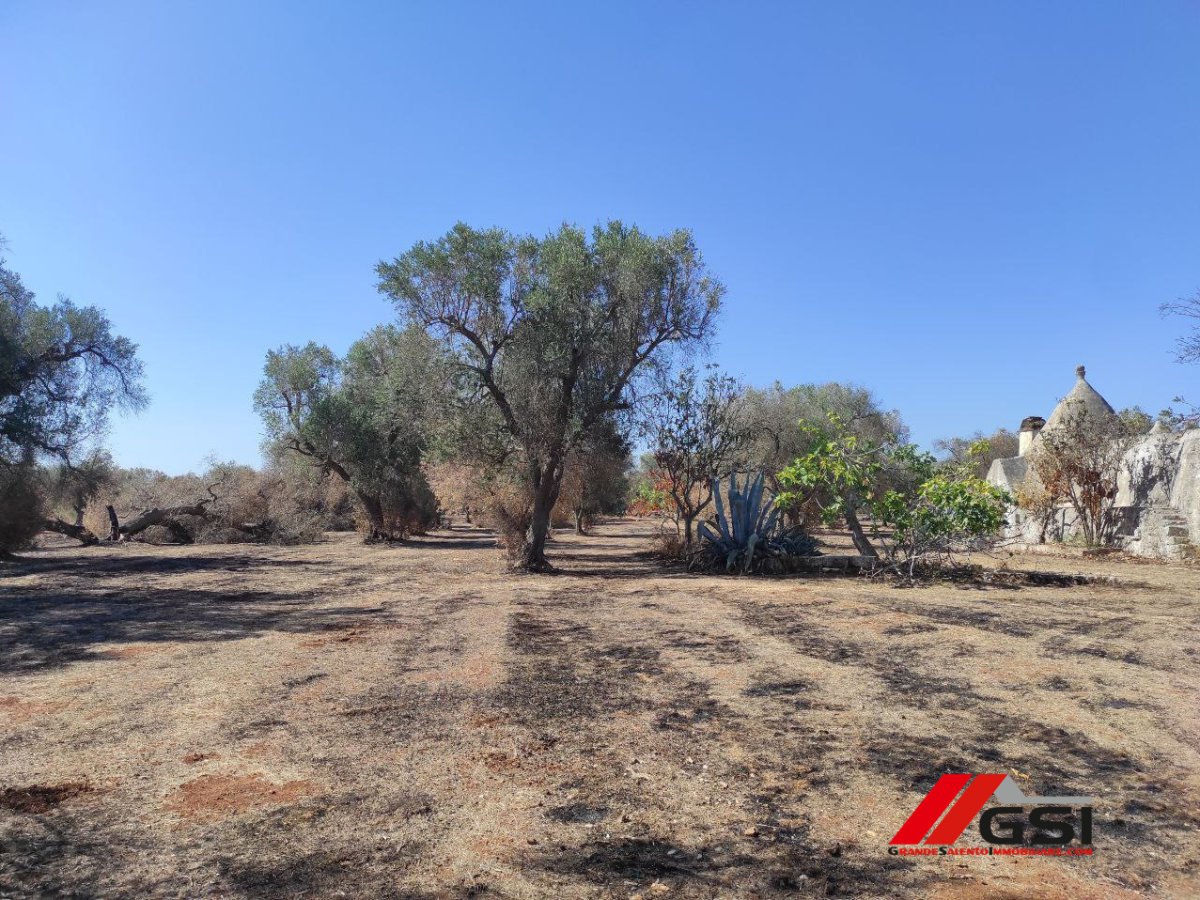 Cottage/Hamlet for Sale San Michele Salentino Brindisi, Sale Cottage/Hamlet San Michele Salentino