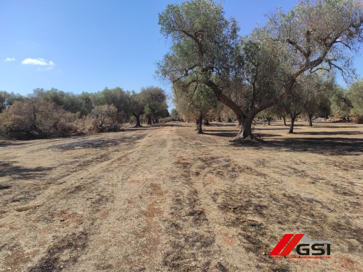 Cottage/Hamlet for Sale San Michele Salentino Brindisi, Sale Cottage/Hamlet San Michele Salentino