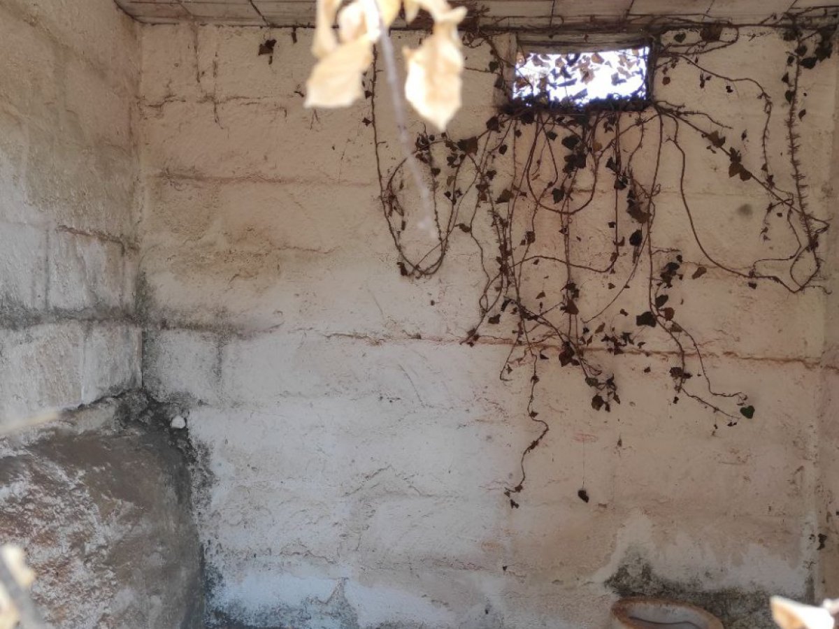 Cottage/Hamlet for Sale San Michele Salentino Brindisi, Sale Cottage/Hamlet San Michele Salentino