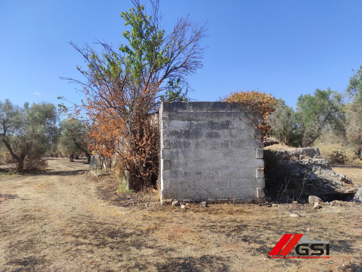 Cottage/Hamlet for Sale San Michele Salentino Brindisi, Sale Cottage/Hamlet San Michele Salentino