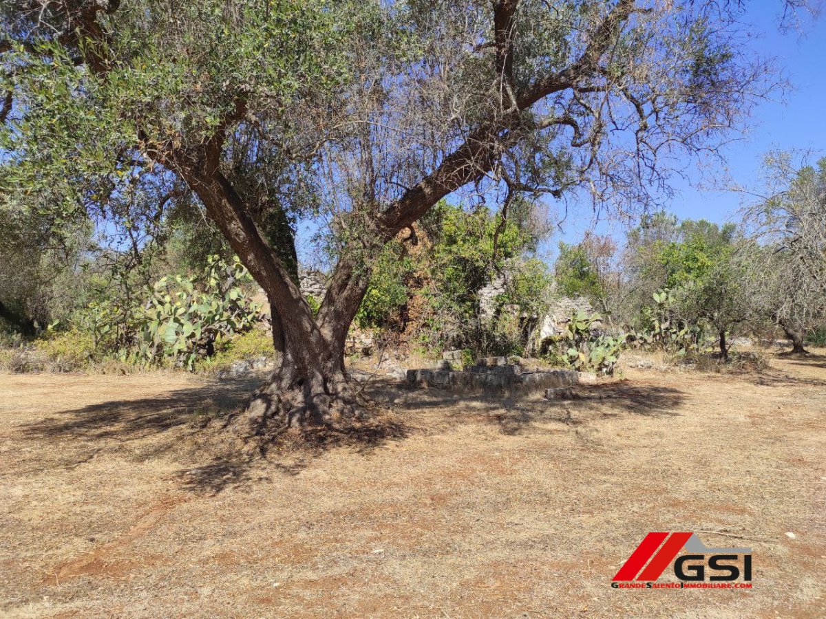 Cottage/Hamlet for Sale San Michele Salentino Brindisi, Sale Cottage/Hamlet San Michele Salentino