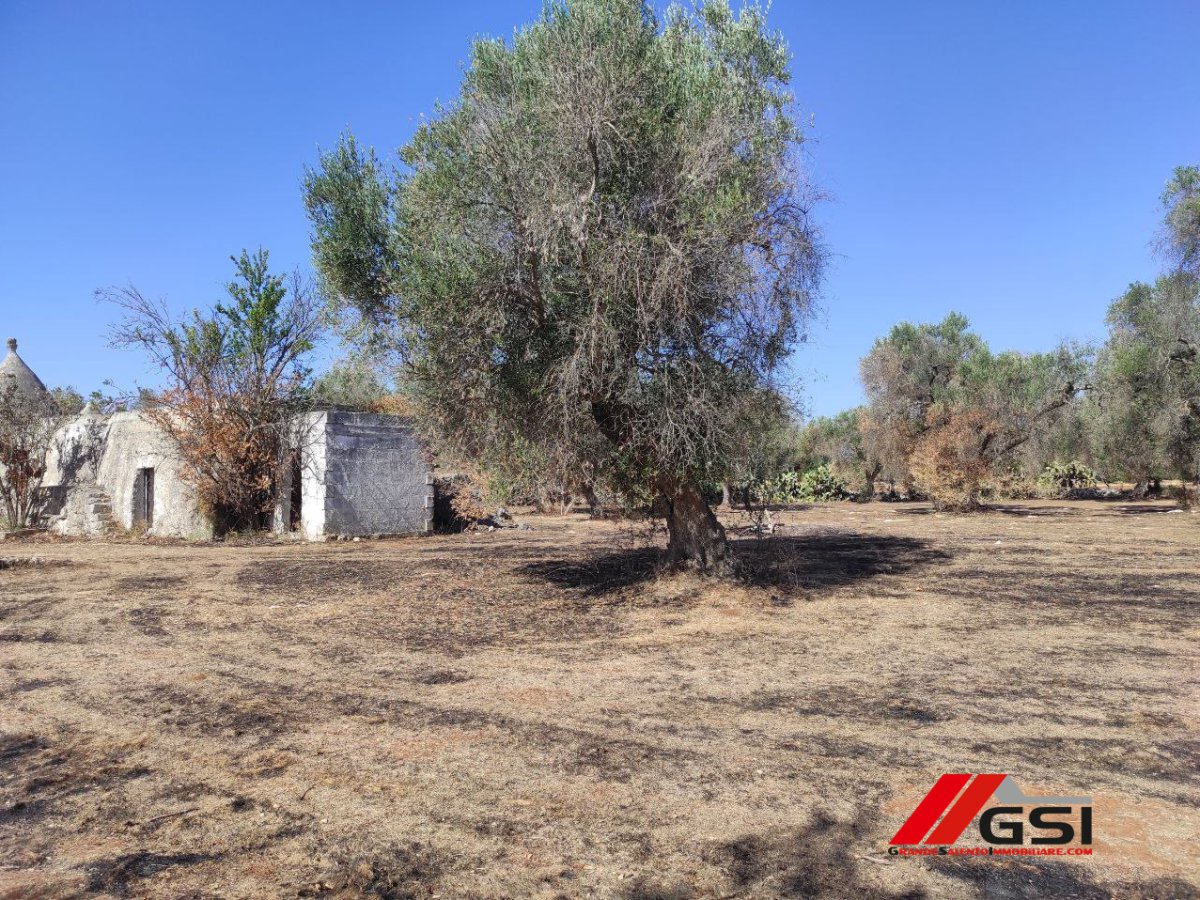 Cottage/Hamlet for Sale San Michele Salentino Brindisi, Sale Cottage/Hamlet San Michele Salentino