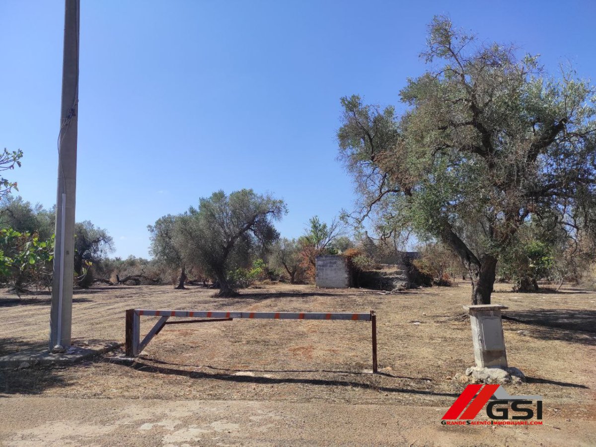 Cottage/Hamlet for Sale San Michele Salentino Brindisi, Sale Cottage/Hamlet San Michele Salentino