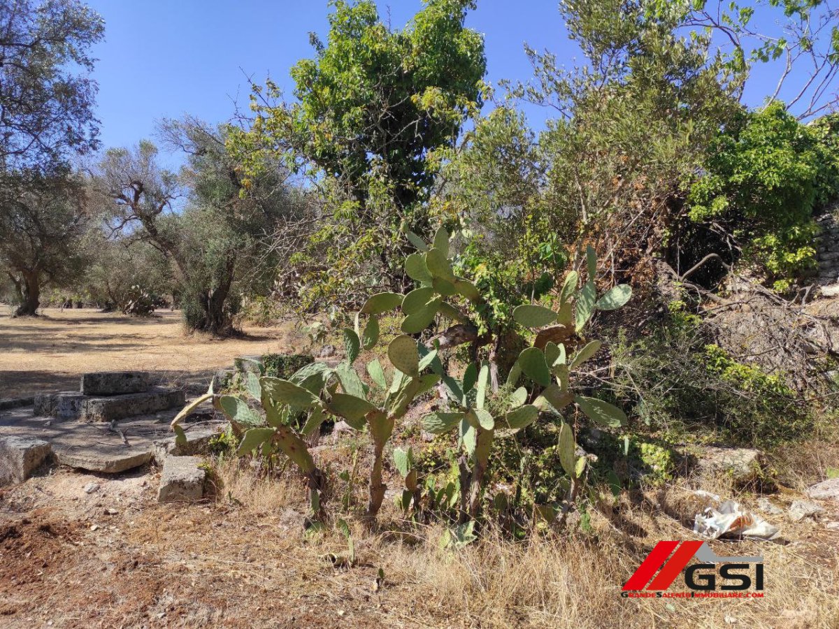 Cottage/Hamlet for Sale San Michele Salentino Brindisi, Sale Cottage/Hamlet San Michele Salentino