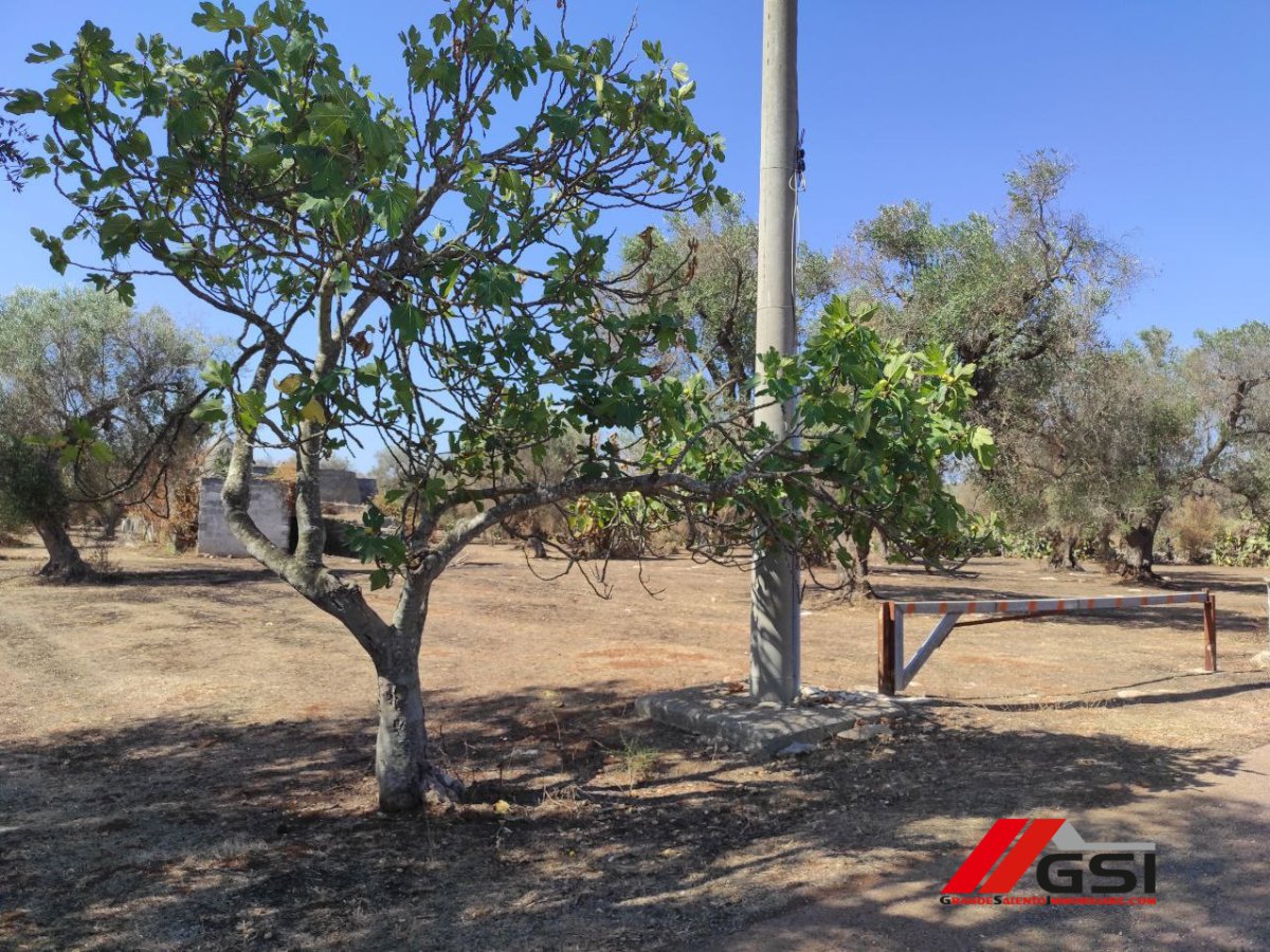 Cottage/Hamlet for Sale San Michele Salentino Brindisi, Sale Cottage/Hamlet San Michele Salentino