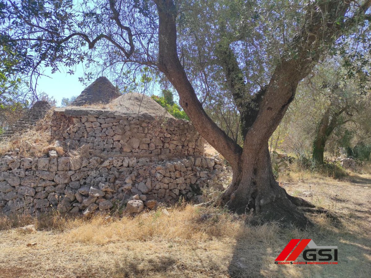 Cottage/Hamlet for Sale San Michele Salentino Brindisi, Sale Cottage/Hamlet San Michele Salentino