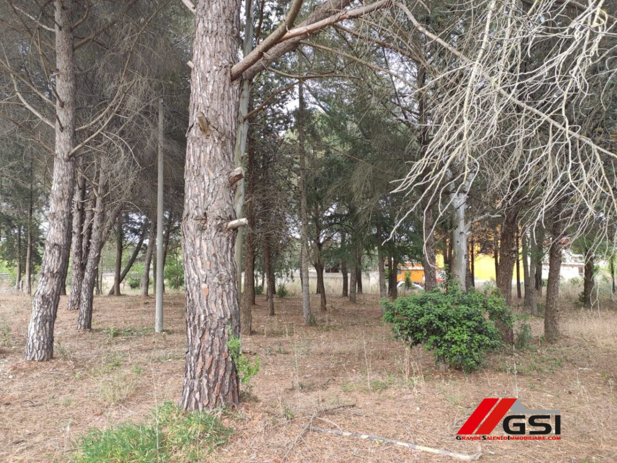 Villa for Sale Ceglie Messapica Brindisi, Sale Villa Ceglie Messapica