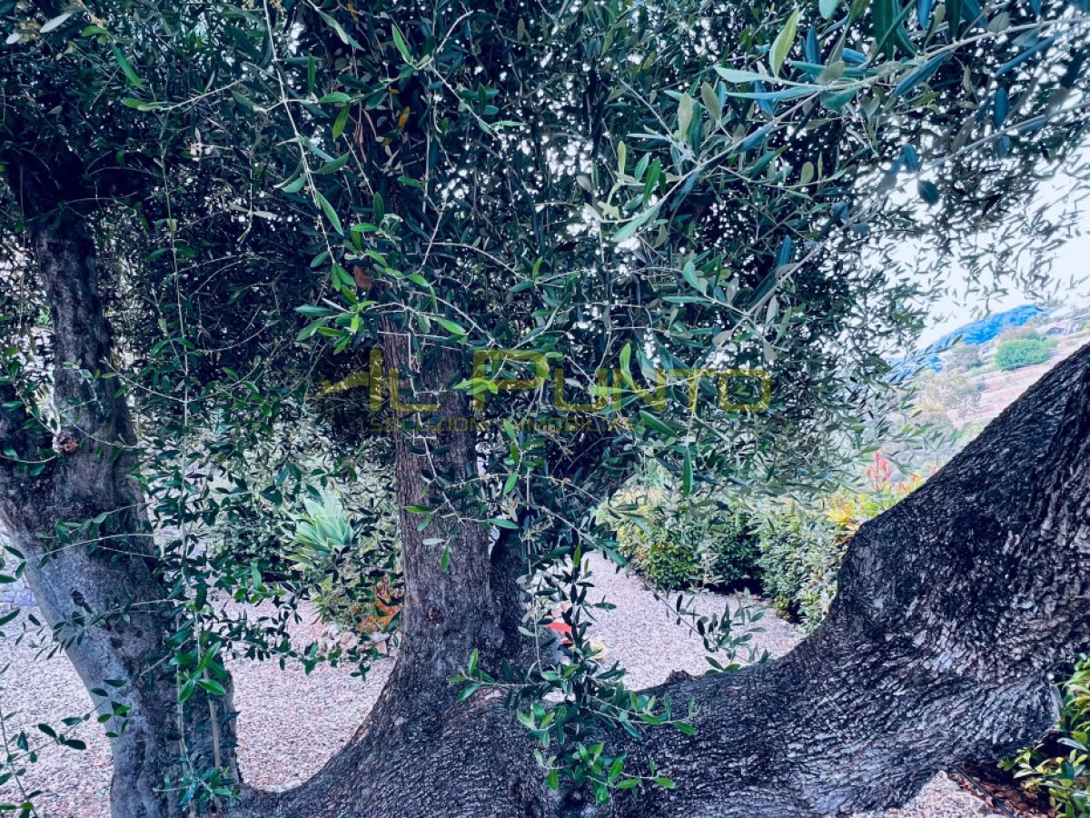 Villa for Sale Sanremo Imperia, Sale Villa Sanremo