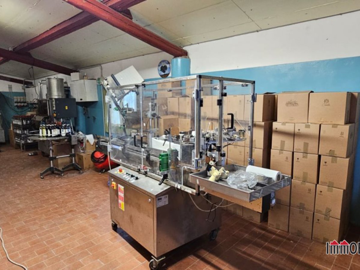 Farm for Sale San Gimignano Siena, Sale Farm San Gimignano