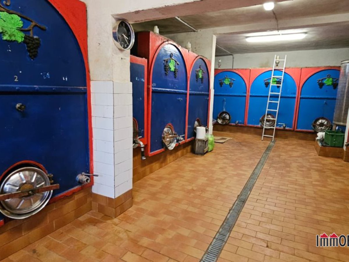 Farm for Sale San Gimignano Siena, Sale Farm San Gimignano