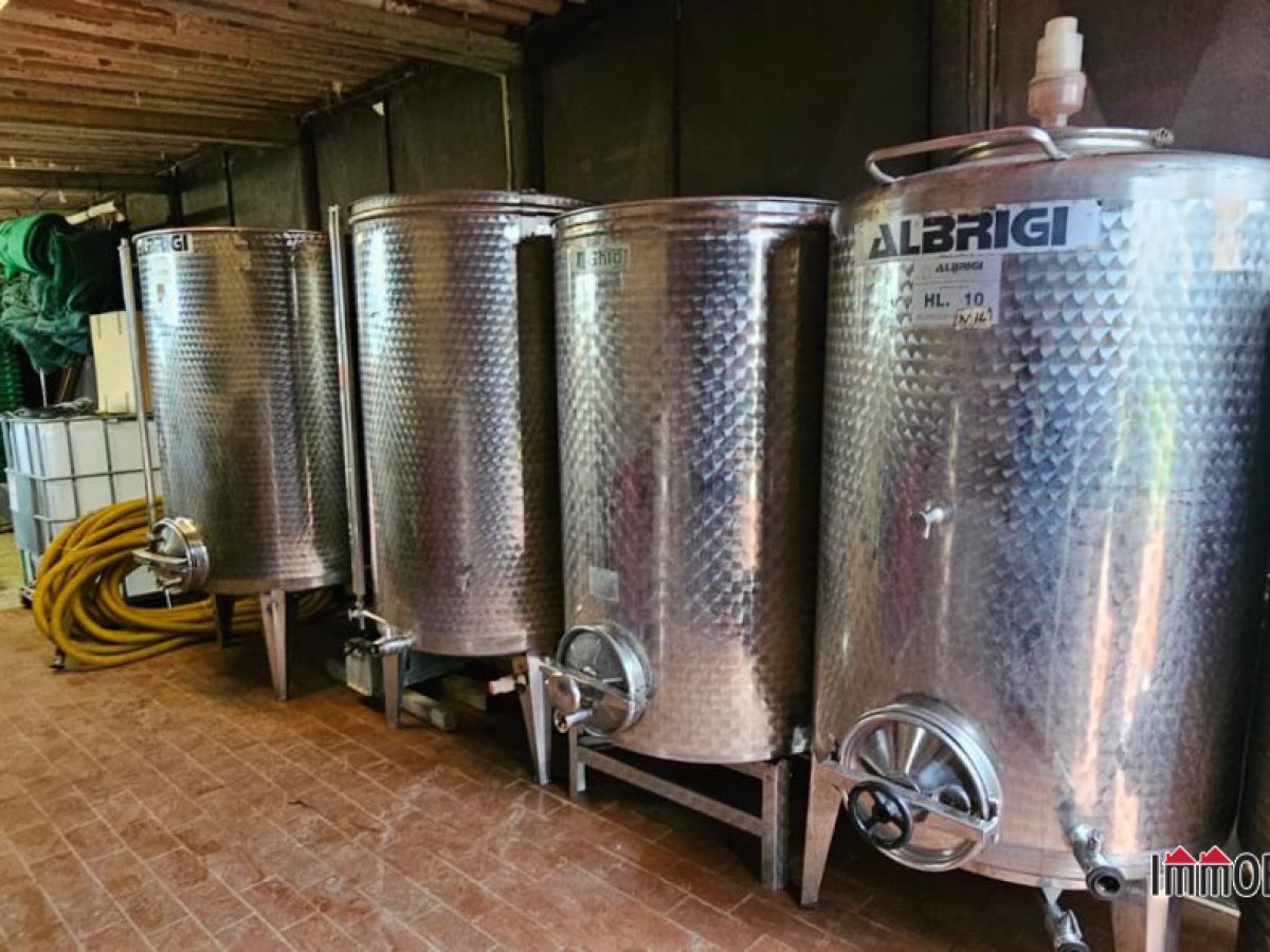 Farm for Sale San Gimignano Siena, Sale Farm San Gimignano