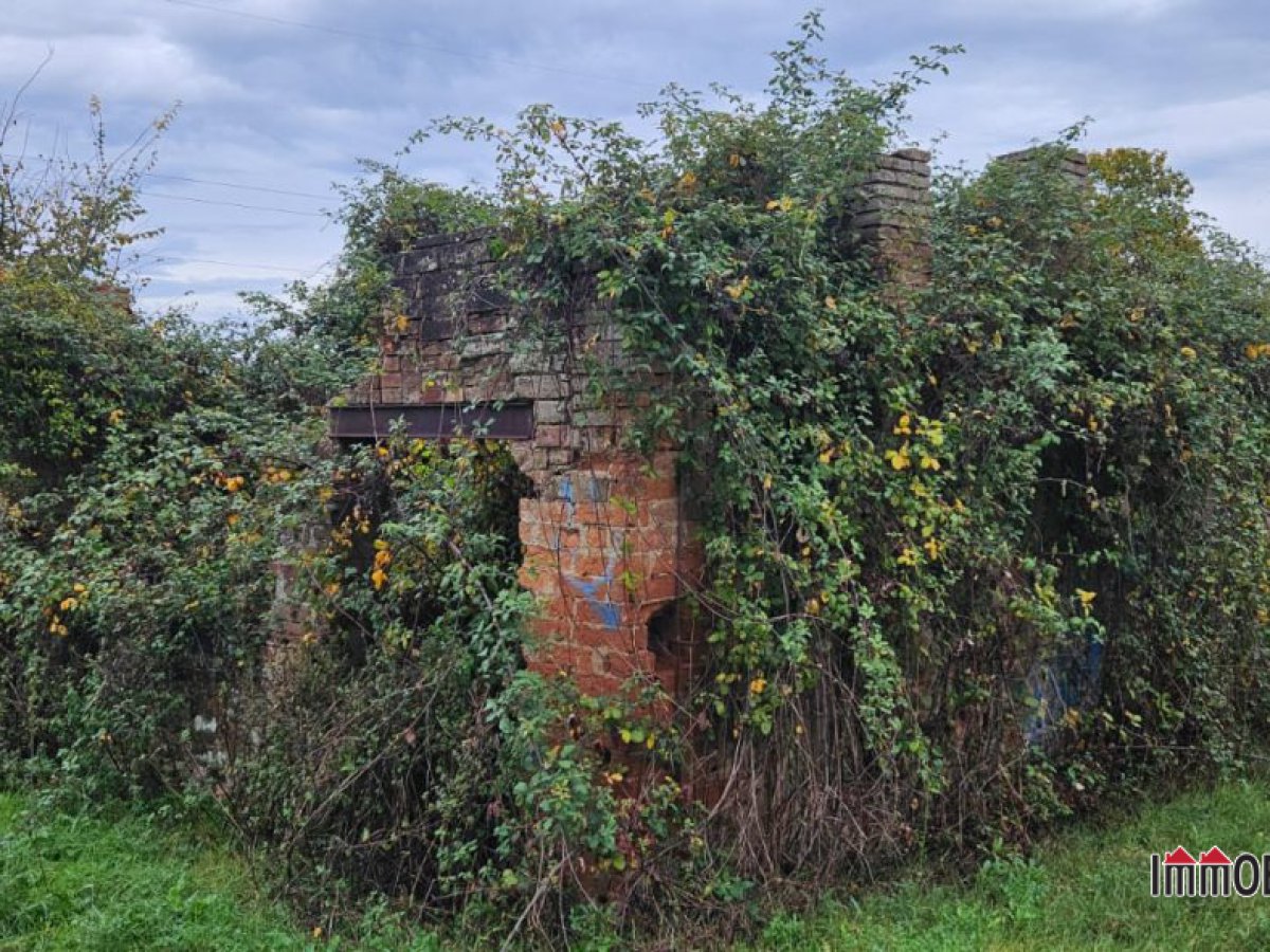 Cottage/Hamlet for Sale Gambassi Terme Florence, Sale Cottage/Hamlet Gambassi Terme