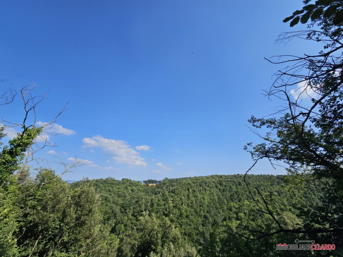 Cottage/Hamlet for Sale Colle di Val d'Elsa Siena, Sale Cottage/Hamlet Colle di Val d'Elsa