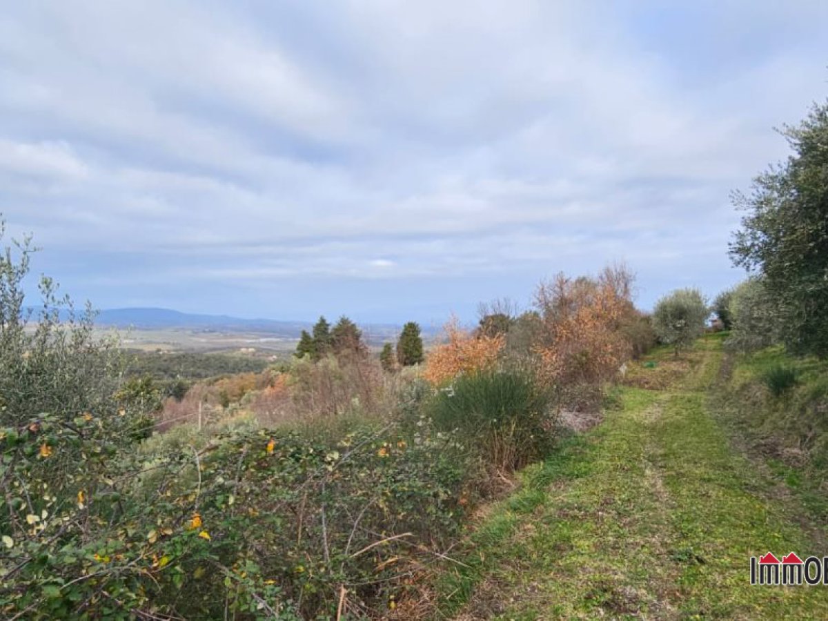 Land for Sale Casole d'Elsa Siena, Sale Land Casole d'Elsa