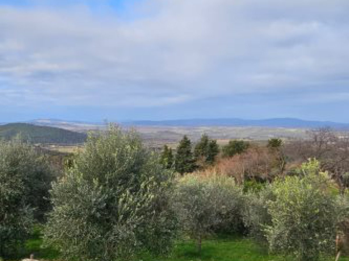 Land for Sale Casole d'Elsa Siena, Sale Land Casole d'Elsa