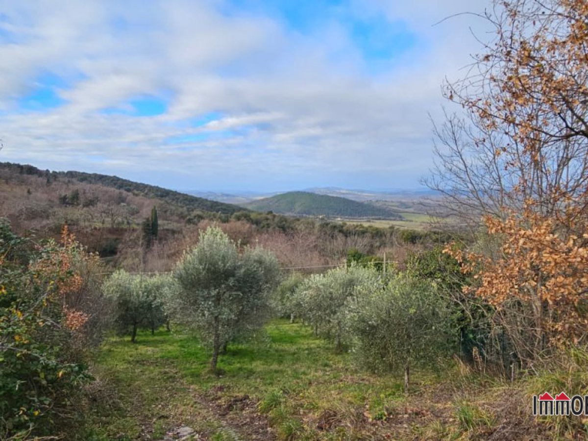 Land for Sale Casole d'Elsa Siena, Sale Land Casole d'Elsa