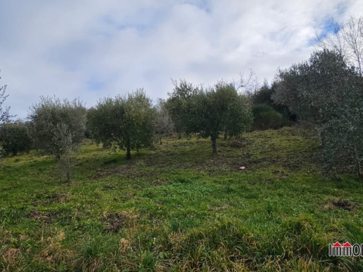 Land for Sale Casole d'Elsa Siena, Sale Land Casole d'Elsa
