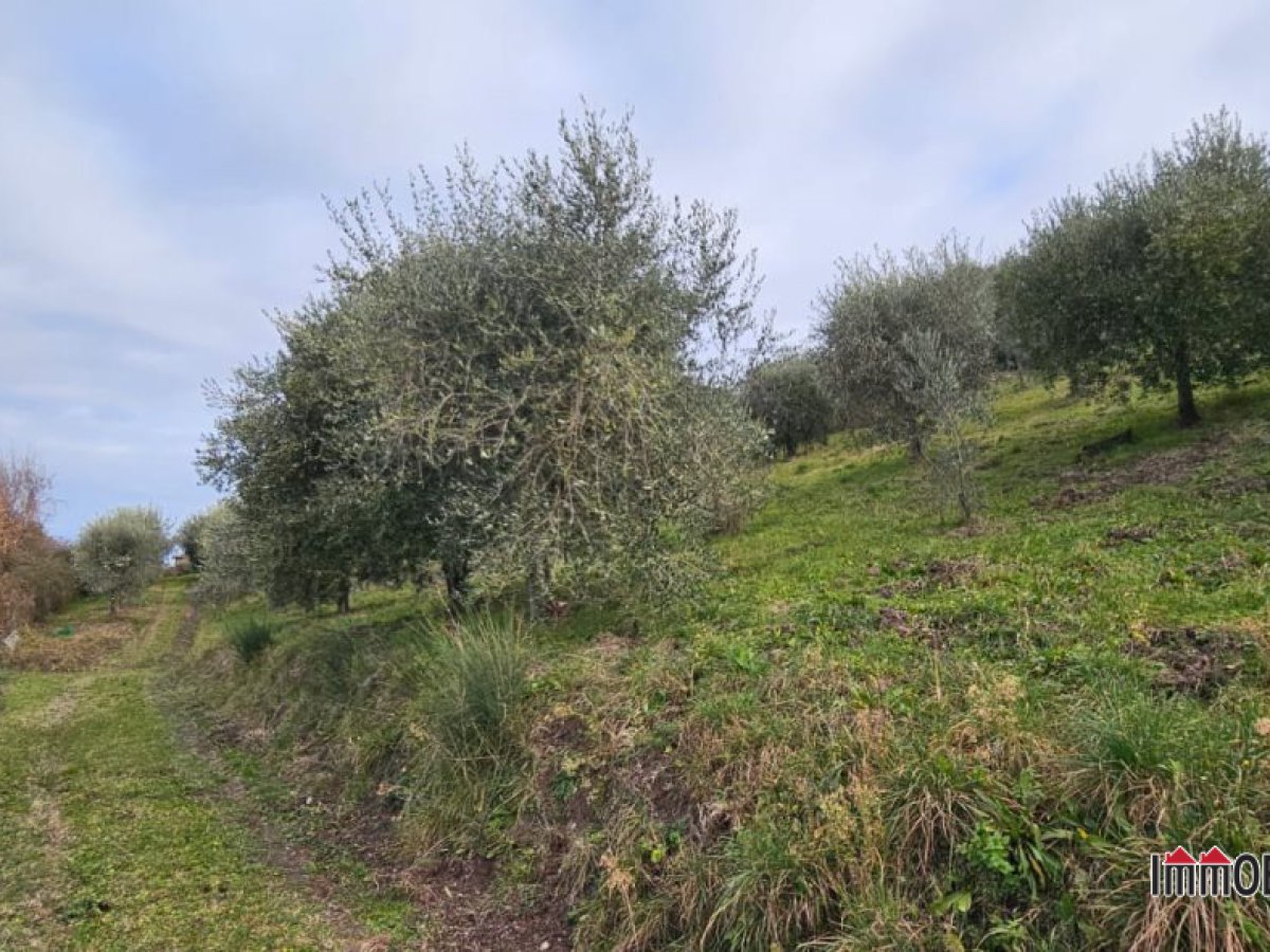 Land for Sale Casole d'Elsa Siena, Sale Land Casole d'Elsa