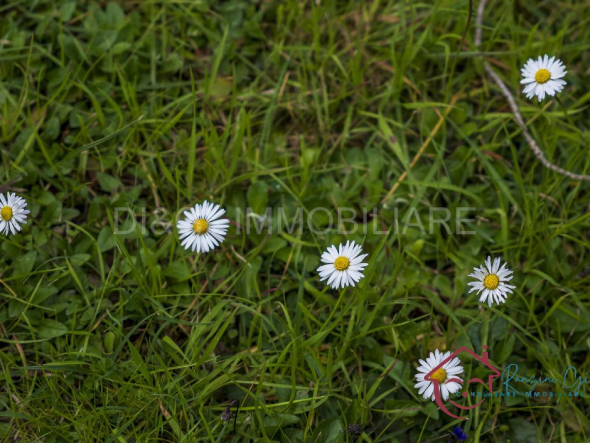 Apartament/Flats for Sale Garlenda Savona, Sale Apartament/Flats Garlenda