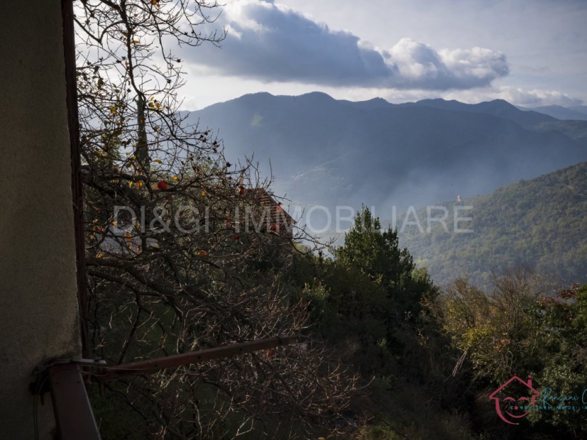 Semi-detached house for Sale Onzo Savona, Sale Semi-detached house Onzo