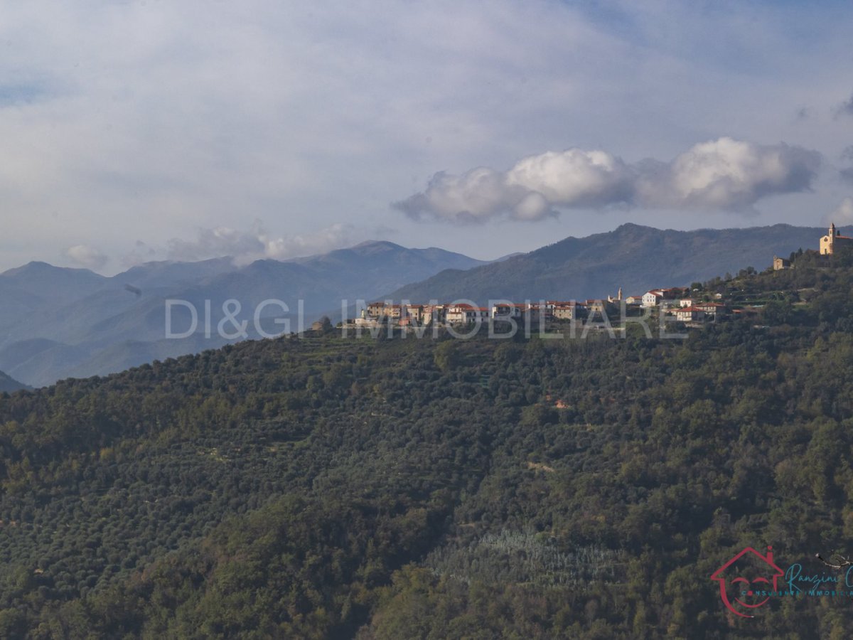 Semi-detached house for Sale Onzo Savona, Sale Semi-detached house Onzo