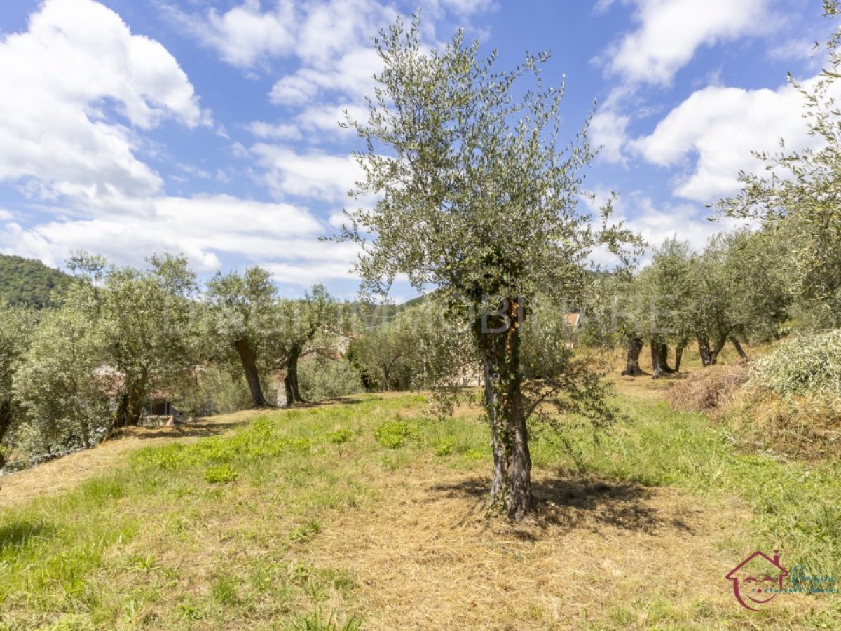 Building area for Sale Ortovero Savona, Sale Building area Ortovero