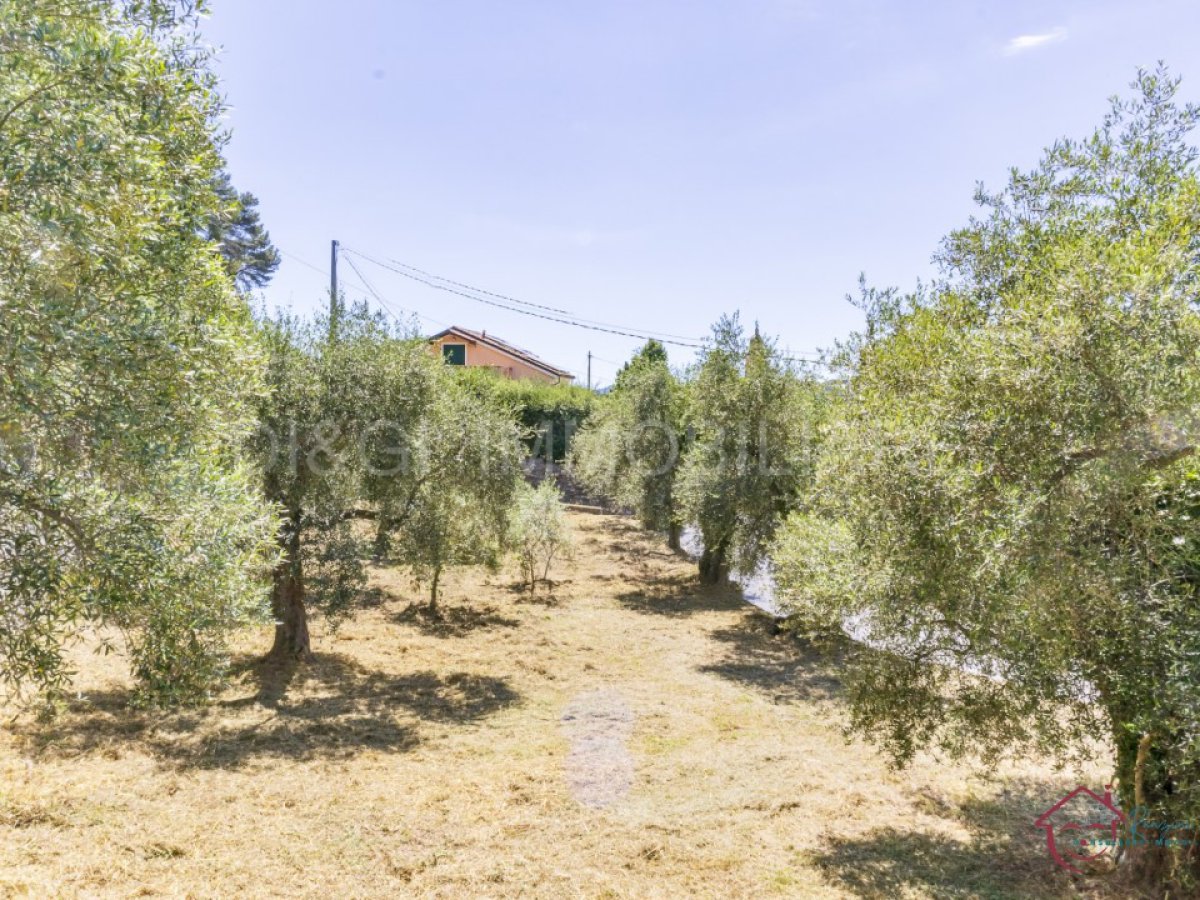 Building area for Sale Ortovero Savona, Sale Building area Ortovero