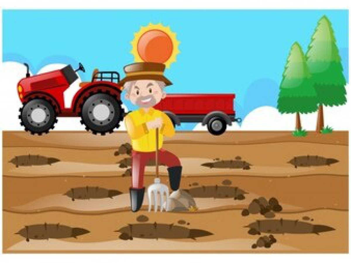 Land for Sale Massarosa Lucca, Sale Land Stiava