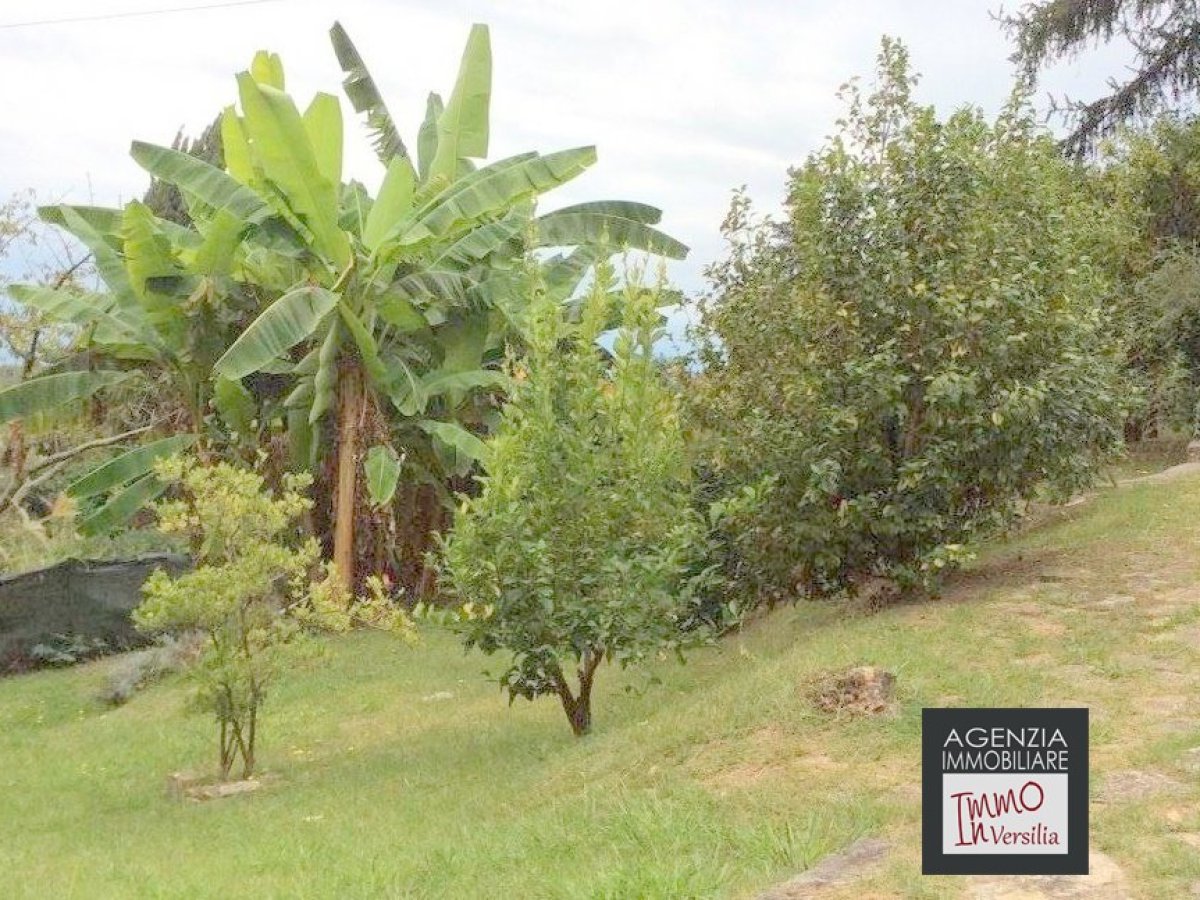 Villa for Sale Camaiore Lucca, Sale Villa Camaiore