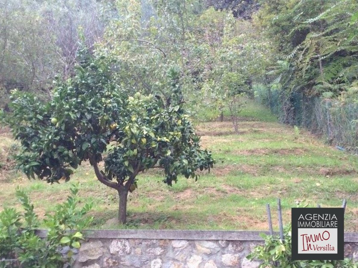 Villa for Sale Camaiore Lucca, Sale Villa Camaiore
