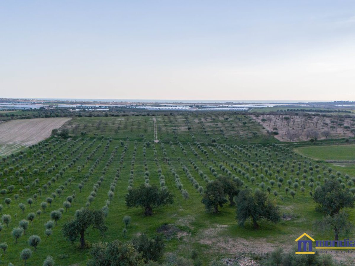 Land for Sale Noto Siracusa, Sale Land Noto