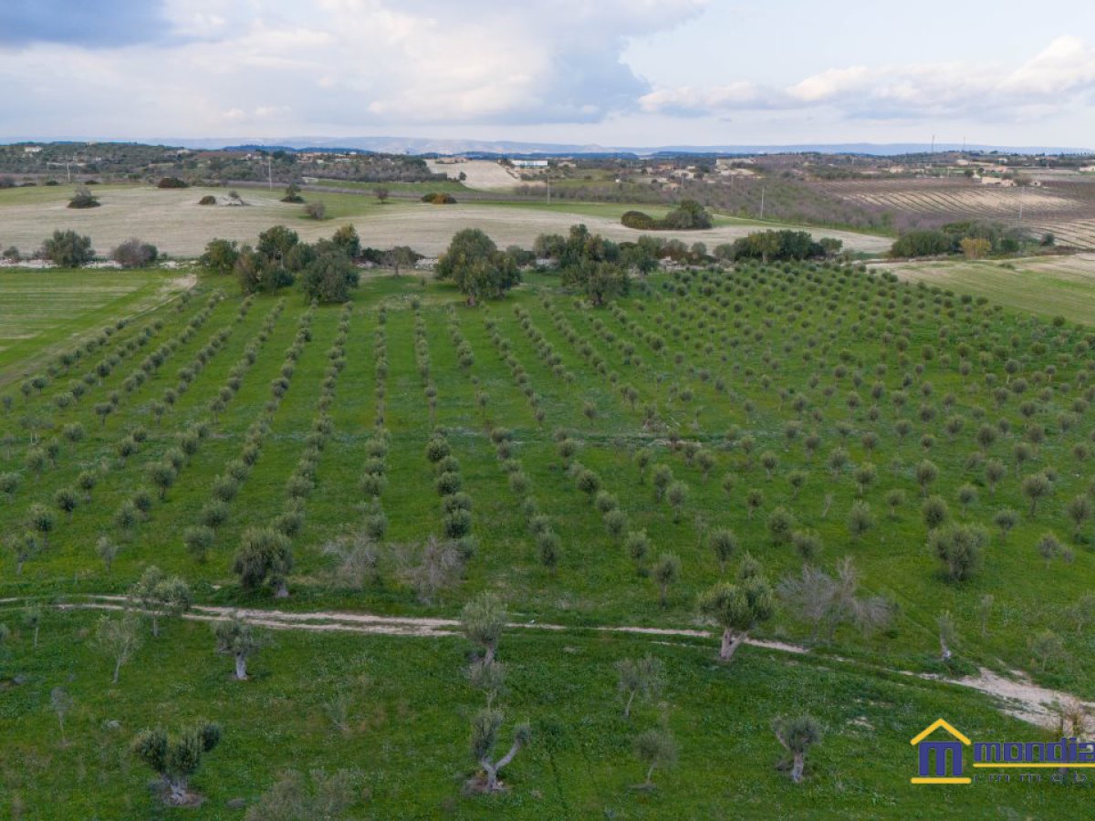 Land for Sale Noto Siracusa, Sale Land Noto
