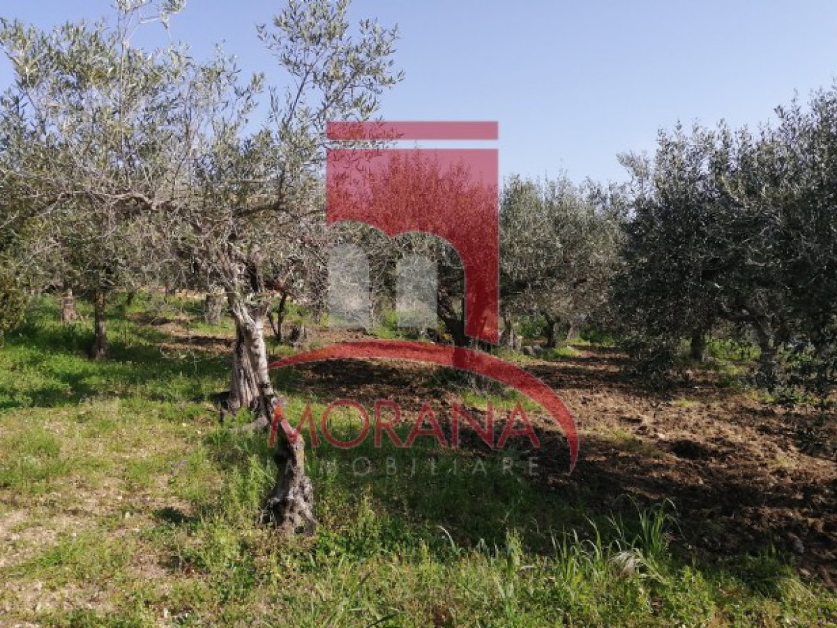 Detached for Sale Valderice Trapani, Sale Detached Valderice