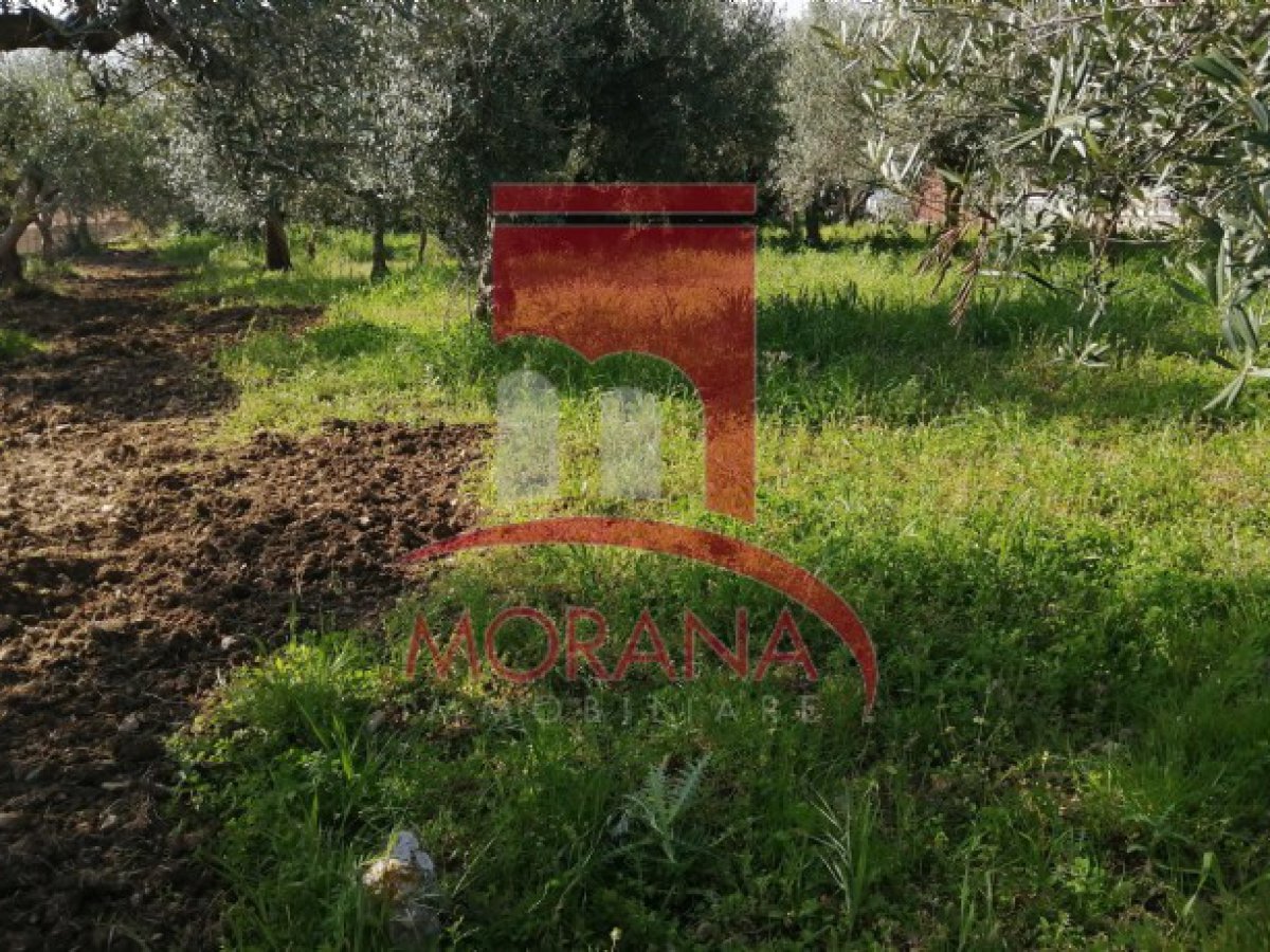 Detached for Sale Valderice Trapani, Sale Detached Valderice