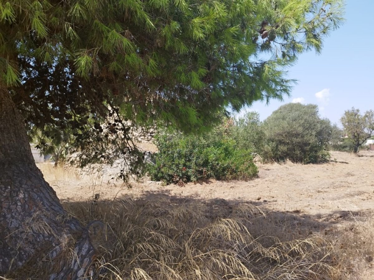 Building area for Sale Maruggio Taranto, Sale Building area Maruggio