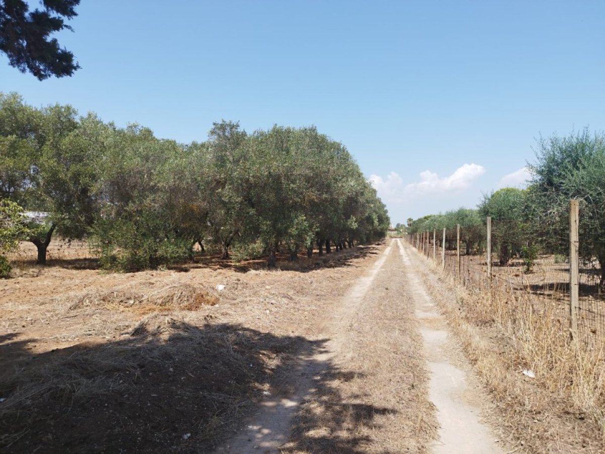 Building area for Sale Maruggio Taranto, Sale Building area Maruggio