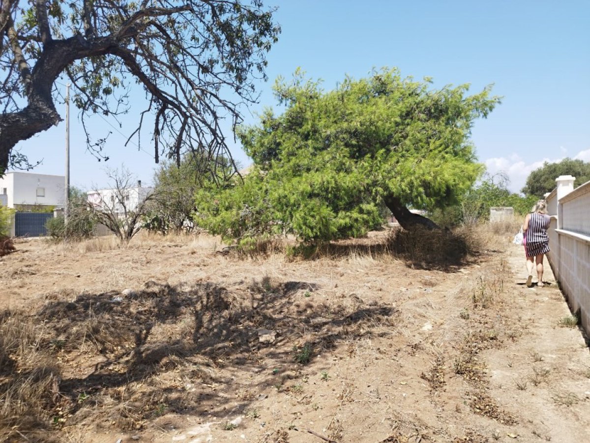 Building area for Sale Maruggio Taranto, Sale Building area Maruggio