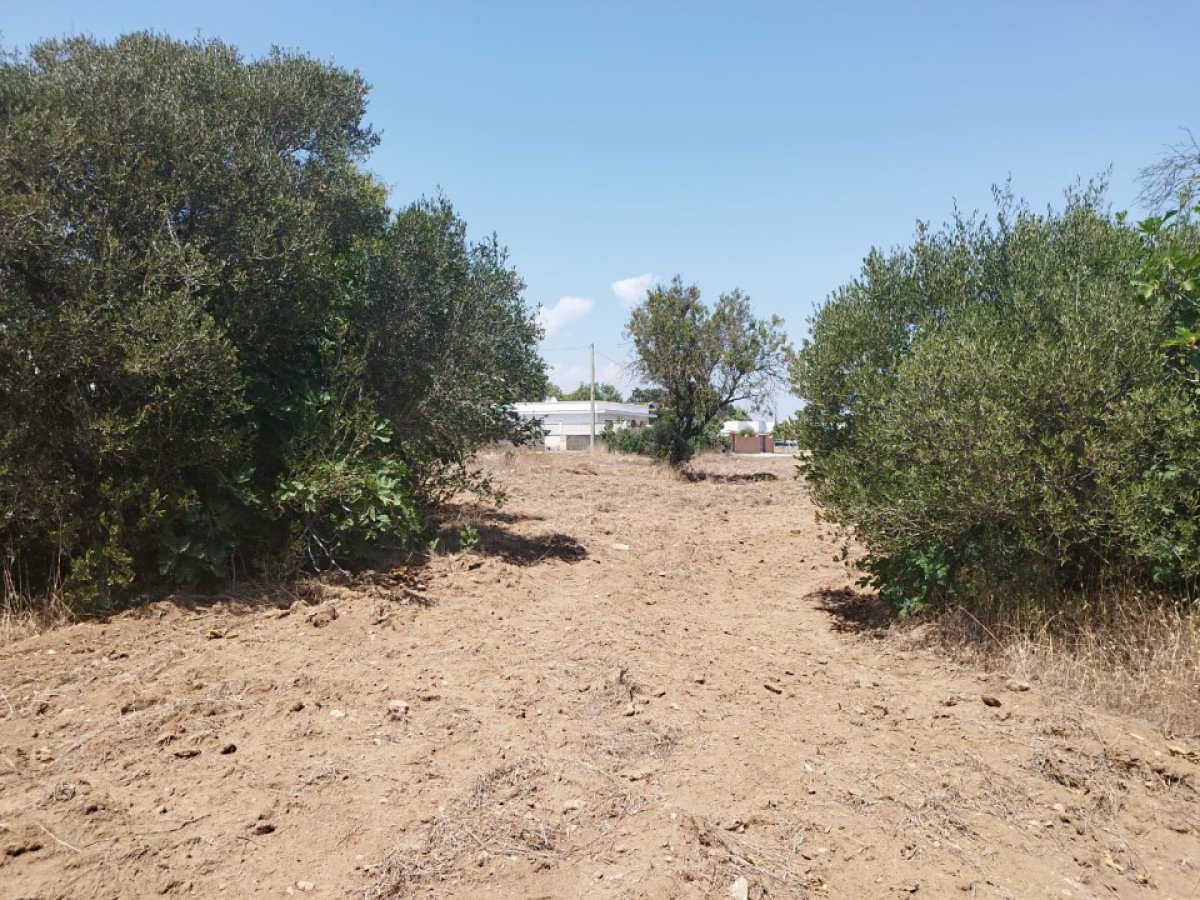Building area for Sale Maruggio Taranto, Sale Building area Maruggio