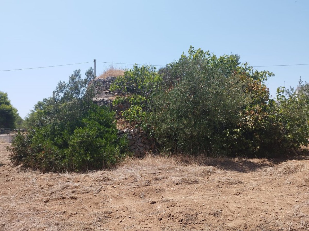 Building area for Sale Maruggio Taranto, Sale Building area Maruggio