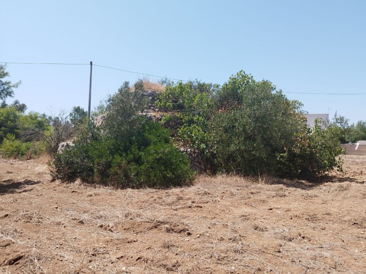 Building area for Sale Maruggio Taranto, Sale Building area Maruggio
