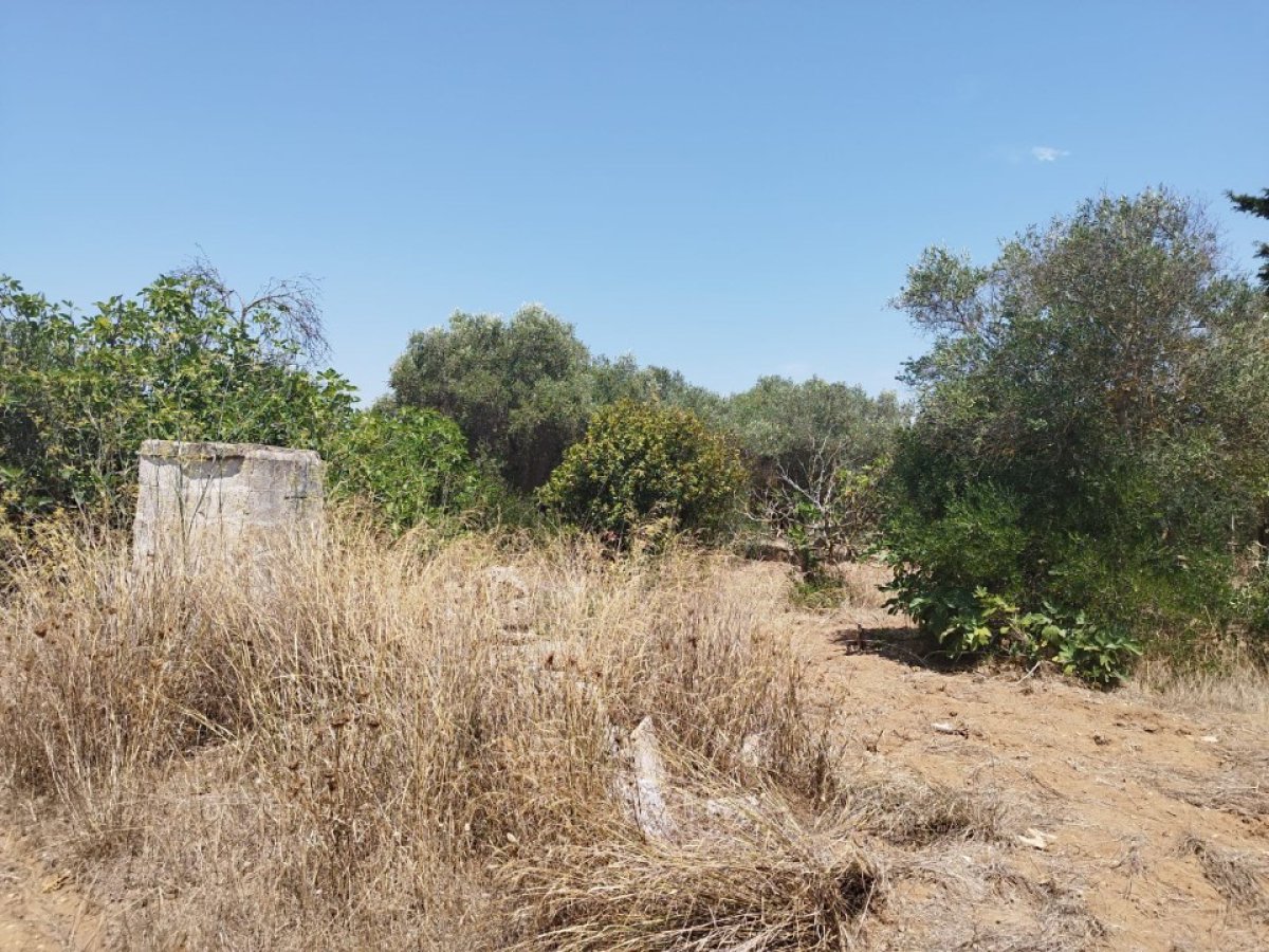 Building area for Sale Maruggio Taranto, Sale Building area Maruggio