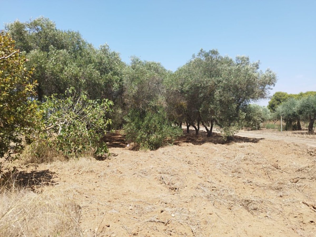 Building area for Sale Maruggio Taranto, Sale Building area Maruggio