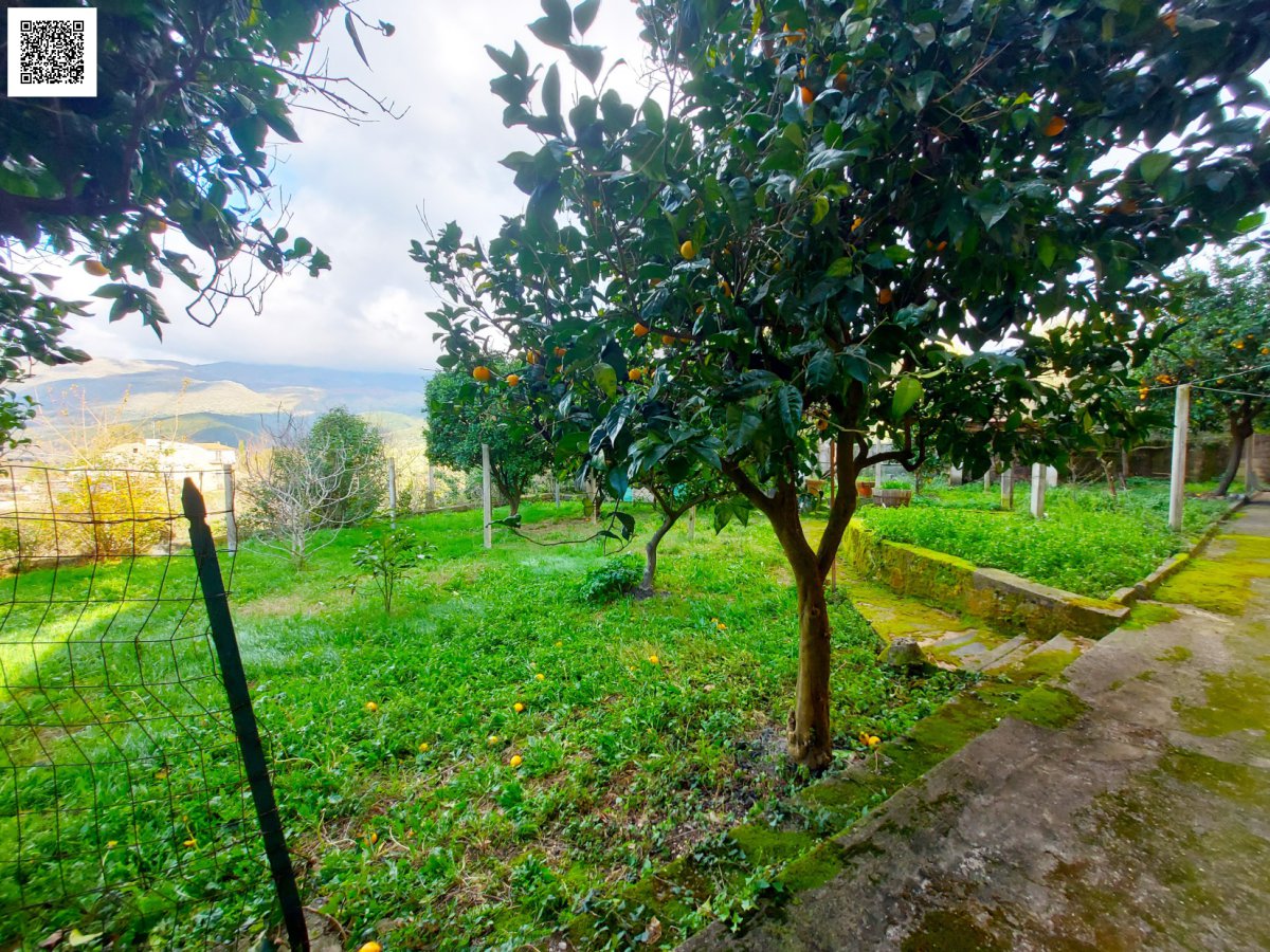 Block of flats/Building for Sale Camerota Salerno, Sale Block of flats/Building Camerota